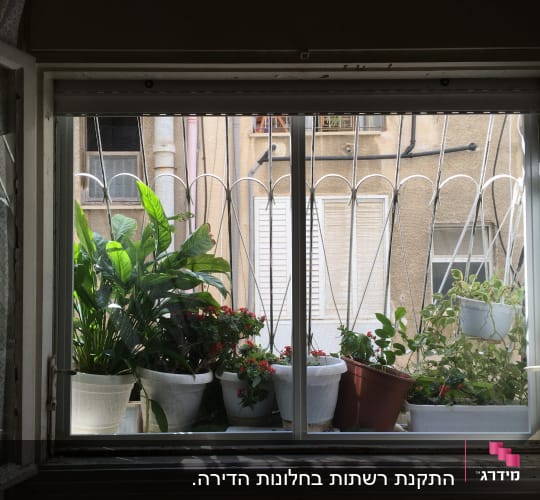 חלון אלומיניום עם סורגים וצמחים בעציצים